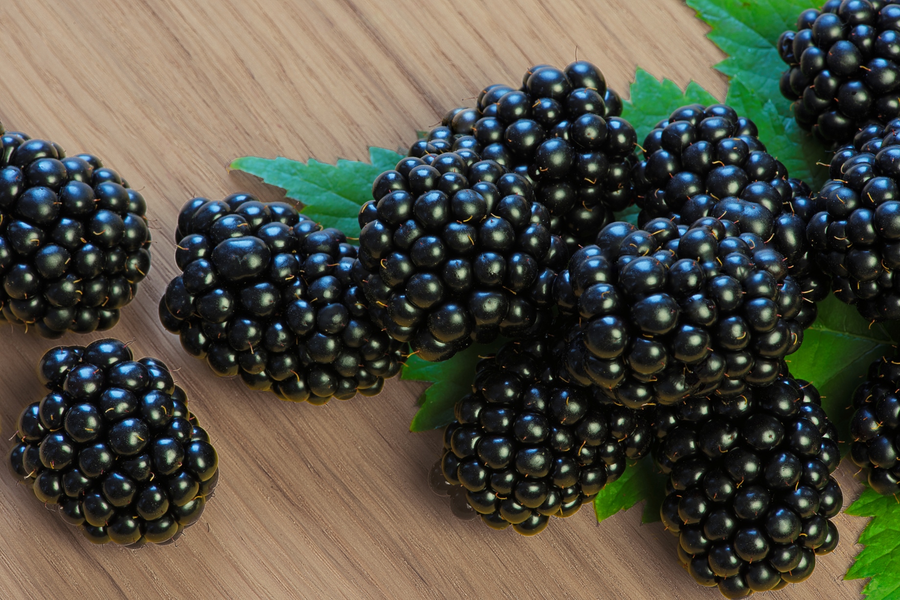 Brombeeren Knup Beerenknup Beeren